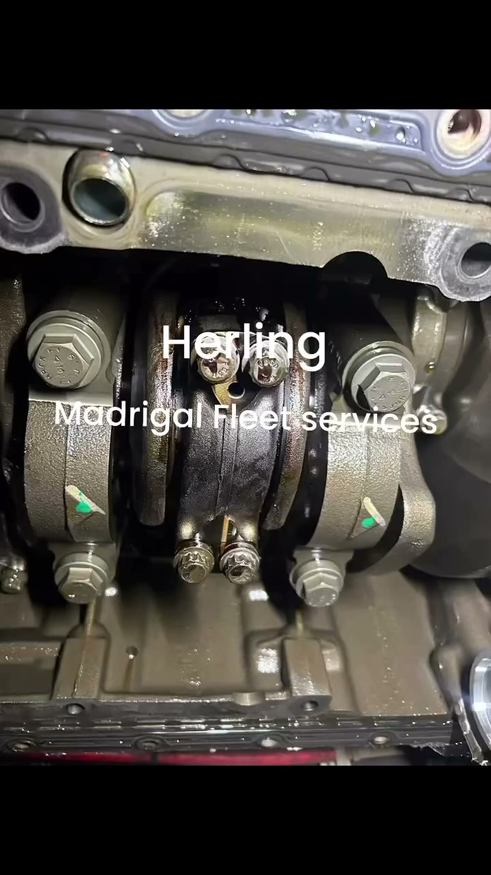 Diesel engine crankshaft and main bearings