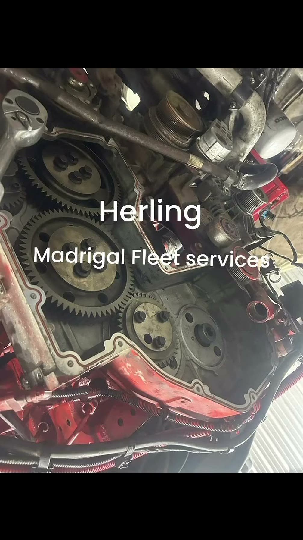 Timing gears and diesel engine head